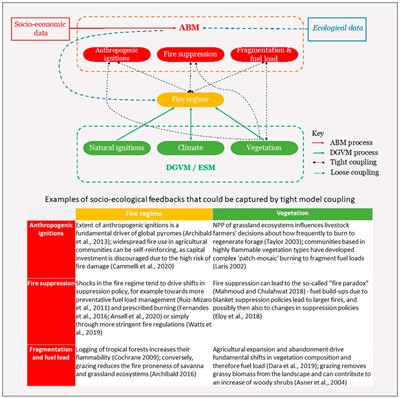 Modelling Human-Fire Interactions: Combining Alternative Perspectives and Approaches